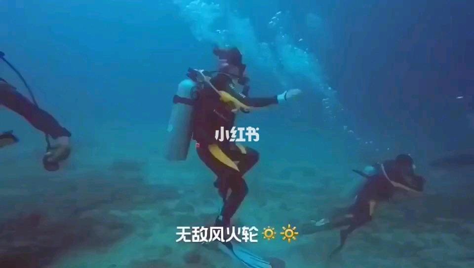 全民烧脑3去广告版