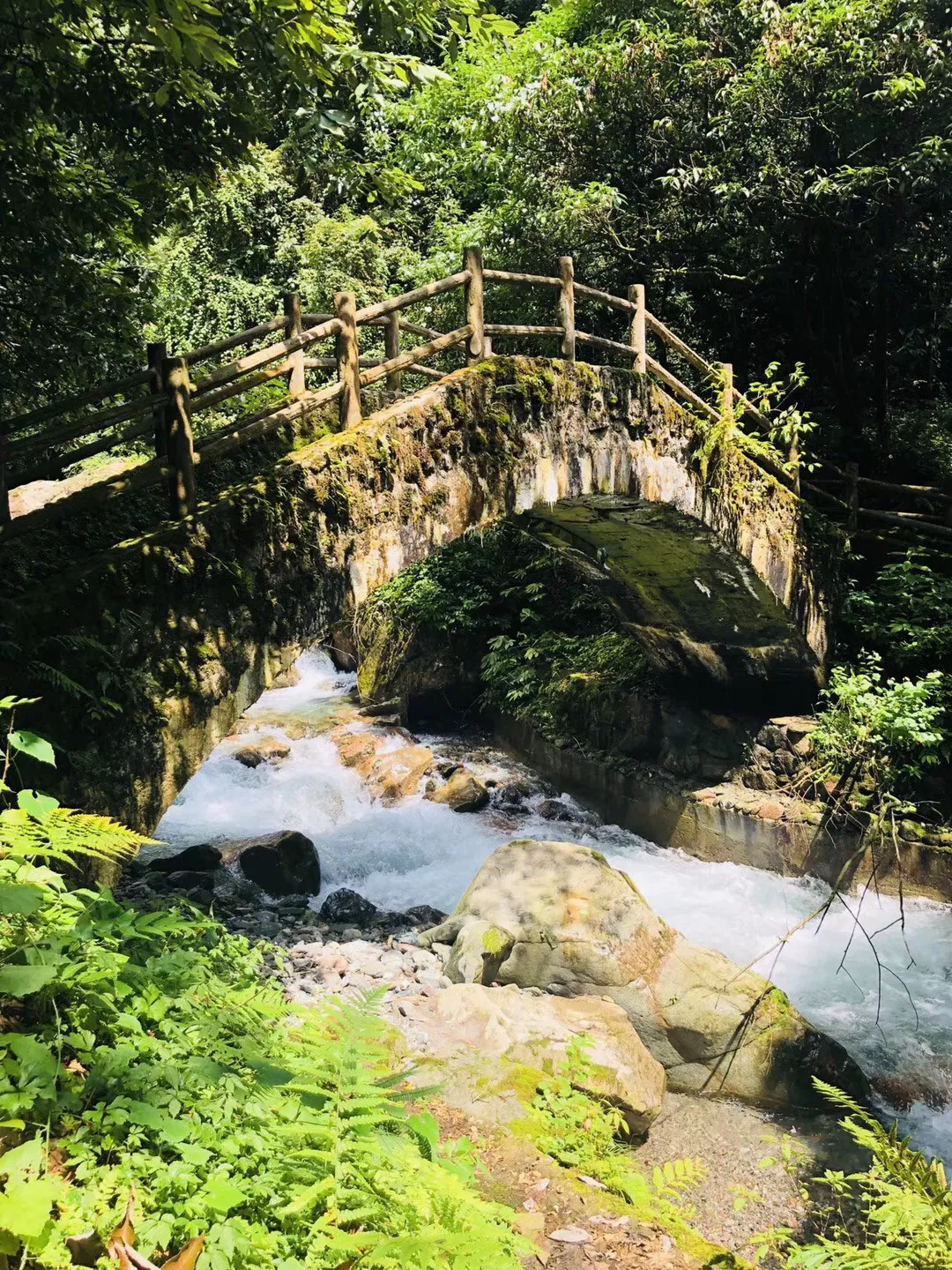爱心鱼送工人