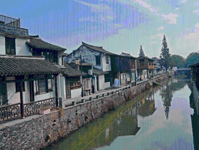 虎鲸为什么怕座头鲸游戏画面
