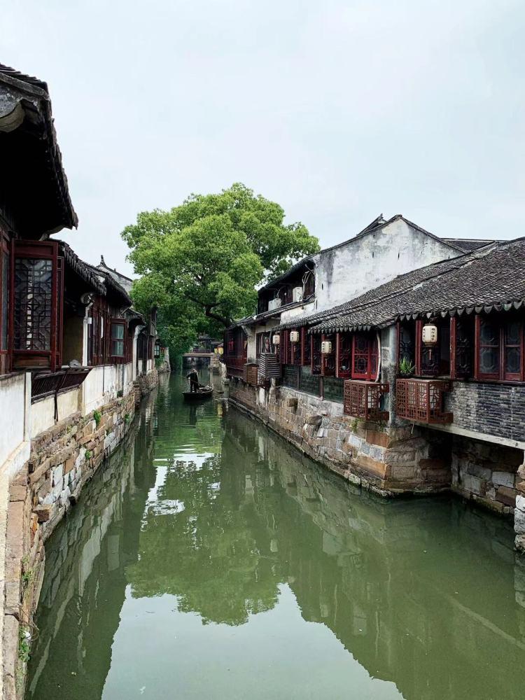 临沂市平邑县平邑街道与国际友人线上交流互动“山东手造”和传统文化